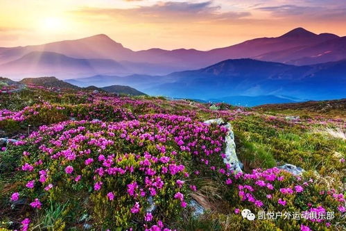 可抢购火车票 西昌 攀枝花 泸沽湖三地连线双卧11日休闲游