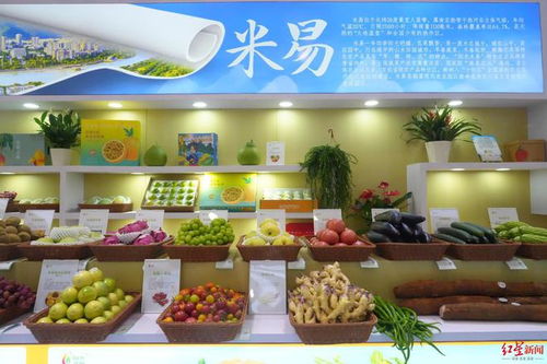 芒果 石榴 黑松露 攀枝花百余种特色农产品亮相四川农博会