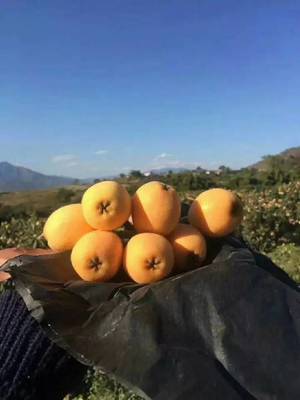 攀枝花新增一个国家地理标志保护产品，你绝对吃过！