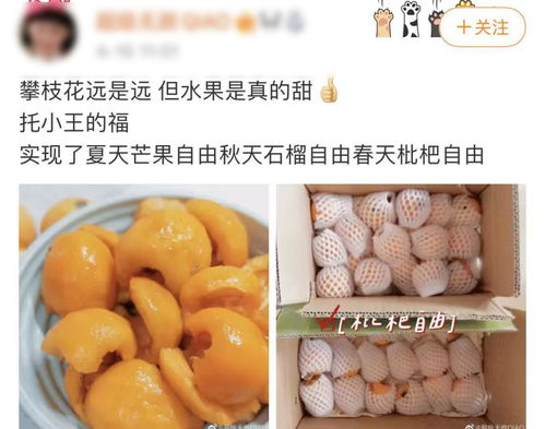 你以为的进口热带水果，可能都来自'四川小三亚'攀枝花