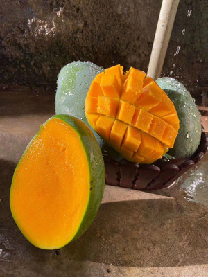 攀枝花凯特芒 大脸芒来袭，香甜多汁等你抢