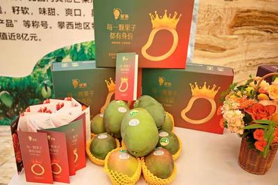 攀枝花再加码，着力推进“九个一”行动，助力“攀果”产业升级