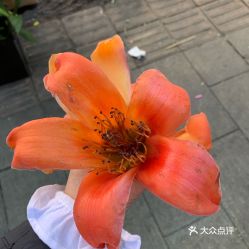 电话,地址,价格,营业时间 攀枝花生活服务
